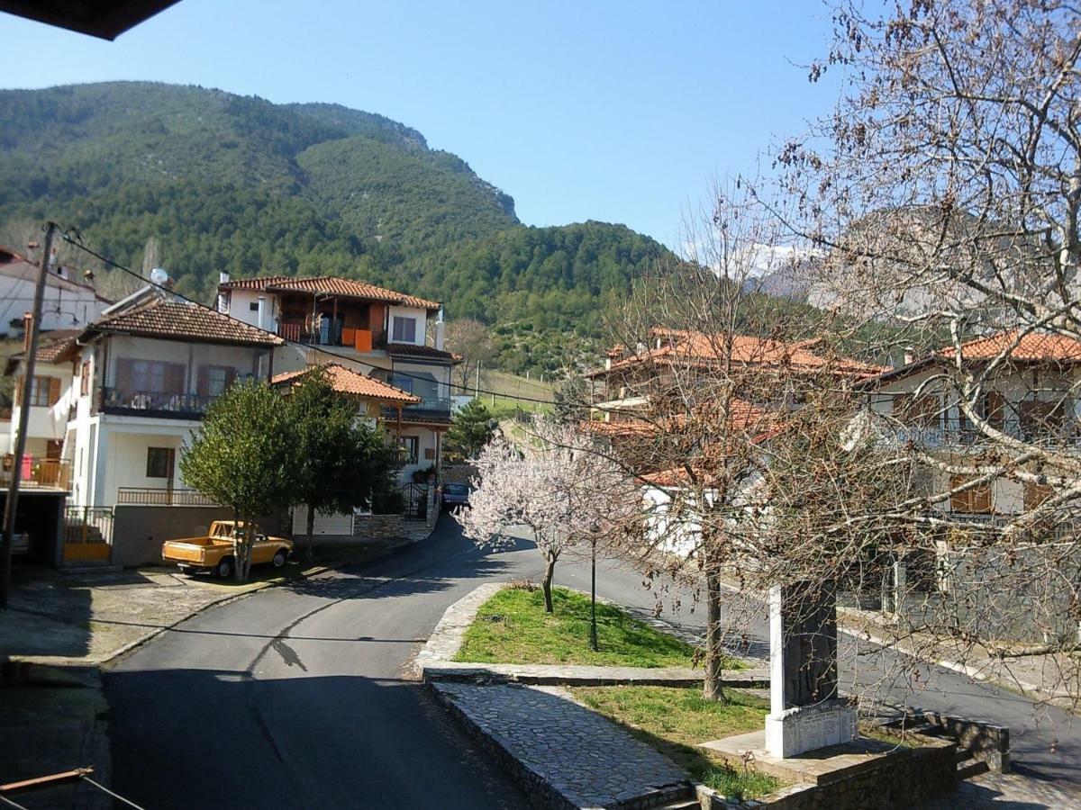 Apartment With View At Olympus Mountain Litochoro Exteriér fotografie